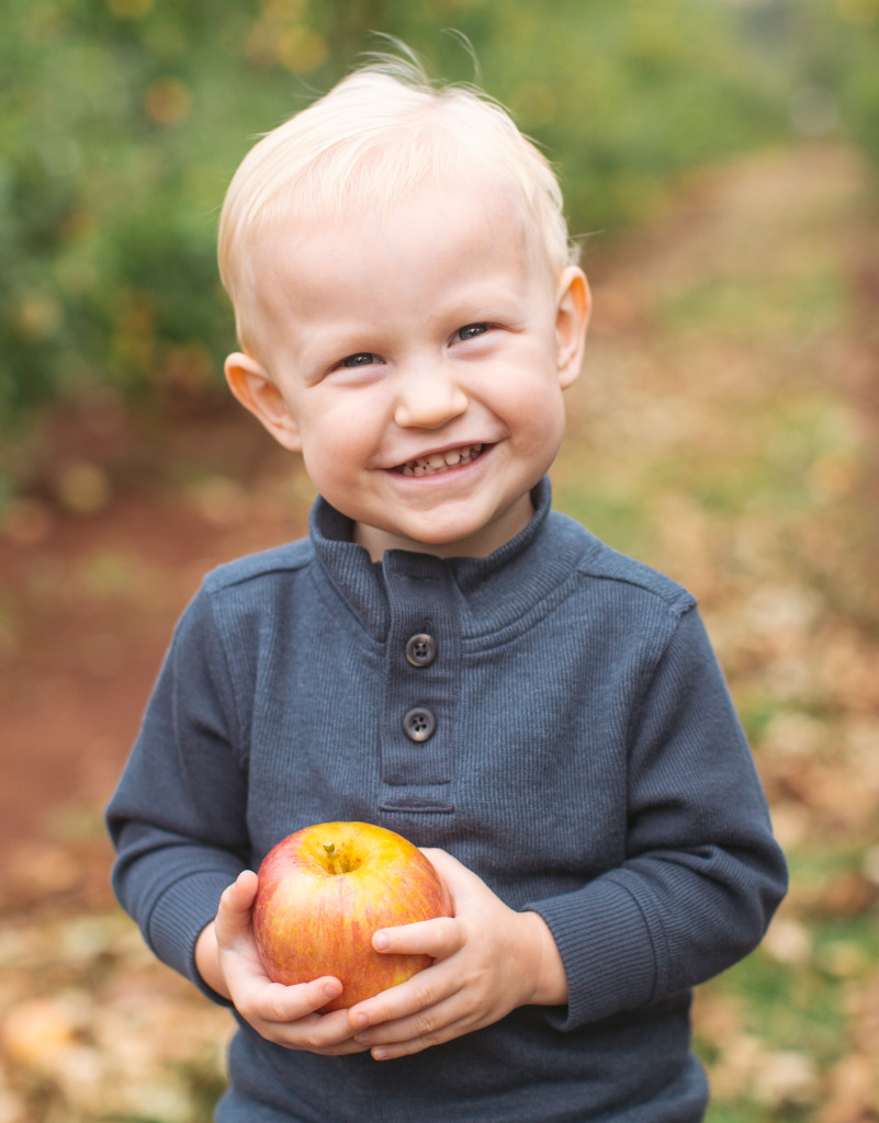 Apple Hill Family Sessions » Melissa Babasin Photography // Wedding and ...