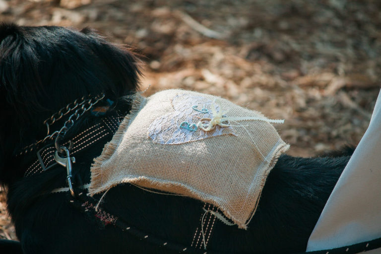 Ceremony-189