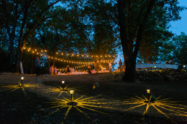 Reception-397
